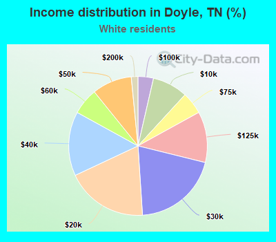 Income distribution in Doyle, TN (%)