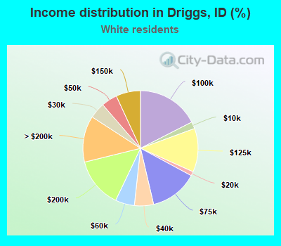 Income distribution in Driggs, ID (%)
