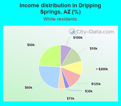 Income distribution in Dripping Springs, AZ (%)