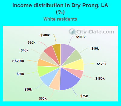 Income distribution in Dry Prong, LA (%)