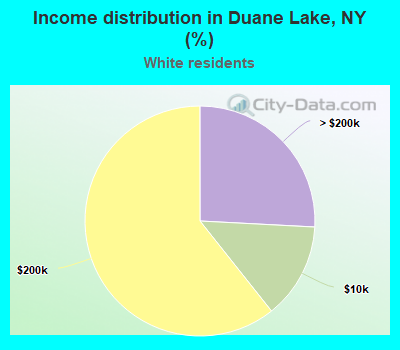 Income distribution in Duane Lake, NY (%)