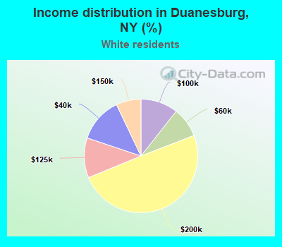 Income distribution in Duanesburg, NY (%)