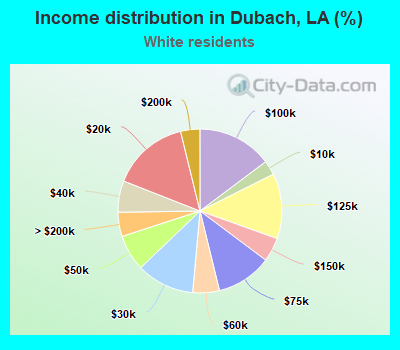 Income distribution in Dubach, LA (%)