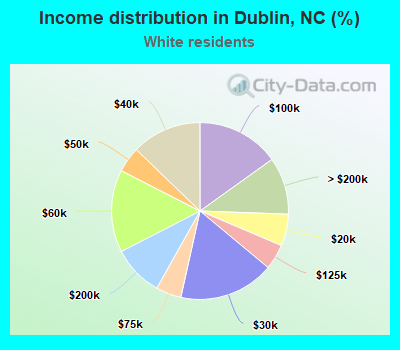 Income distribution in Dublin, NC (%)