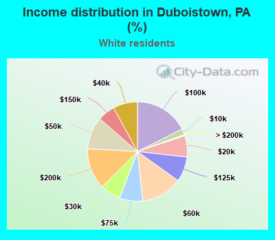 Income distribution in Duboistown, PA (%)