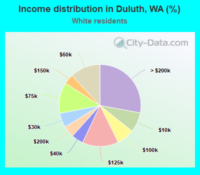 Income distribution in Duluth, WA (%)