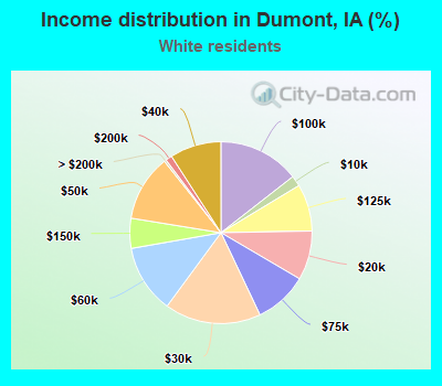 Income distribution in Dumont, IA (%)