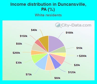Income distribution in Duncansville, PA (%)