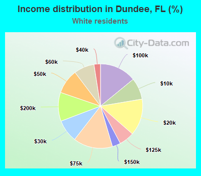 Income distribution in Dundee, FL (%)