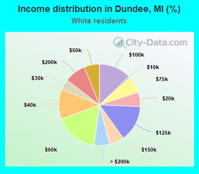 Income distribution in Dundee, MI (%)