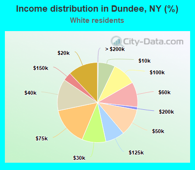 Income distribution in Dundee, NY (%)