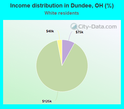 Income distribution in Dundee, OH (%)