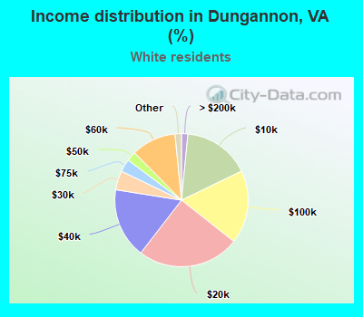 Income distribution in Dungannon, VA (%)
