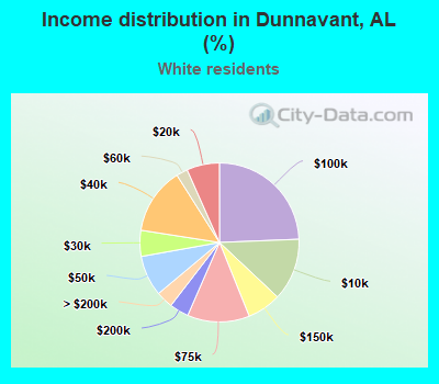 Income distribution in Dunnavant, AL (%)