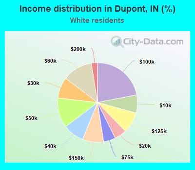 Income distribution in Dupont, IN (%)