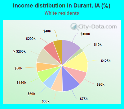 Income distribution in Durant, IA (%)