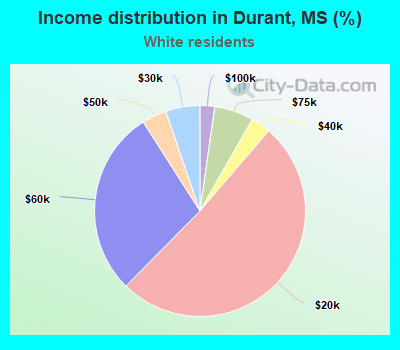 Income distribution in Durant, MS (%)