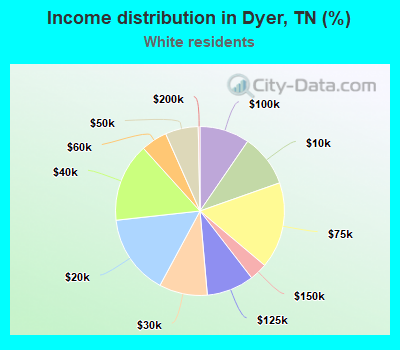 Income distribution in Dyer, TN (%)
