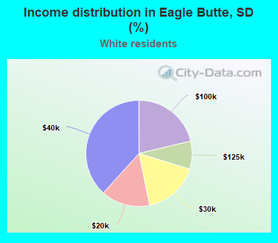 Income distribution in Eagle Butte, SD (%)