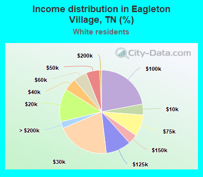 Income distribution in Eagleton Village, TN (%)