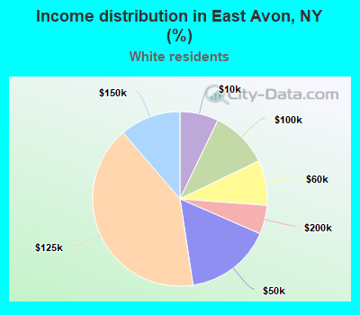 Income distribution in East Avon, NY (%)