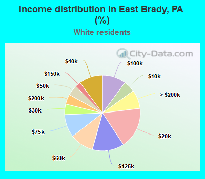 Income distribution in East Brady, PA (%)