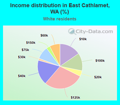 Income distribution in East Cathlamet, WA (%)