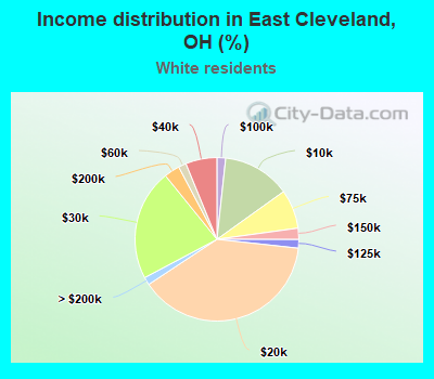 Income distribution in East Cleveland, OH (%)