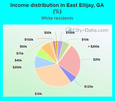 Income distribution in East Ellijay, GA (%)