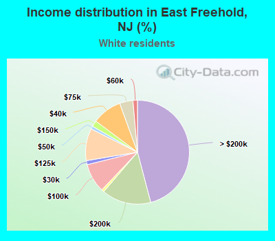 Income distribution in East Freehold, NJ (%)