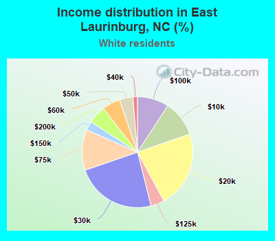 Income distribution in East Laurinburg, NC (%)