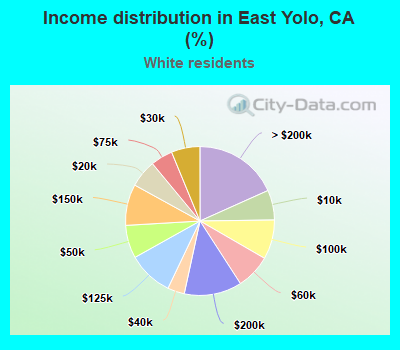 Income distribution in East Yolo, CA (%)