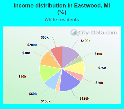 Income distribution in Eastwood, MI (%)