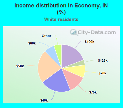 Income distribution in Economy, IN (%)