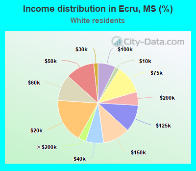 Income distribution in Ecru, MS (%)