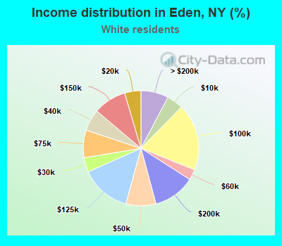 Income distribution in Eden, NY (%)