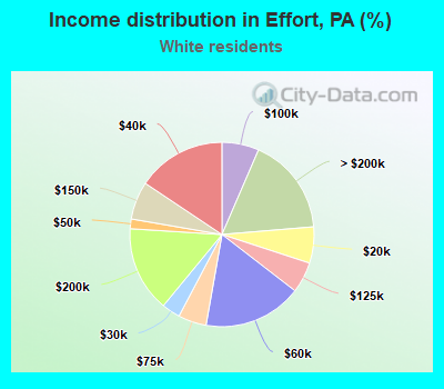 Income distribution in Effort, PA (%)