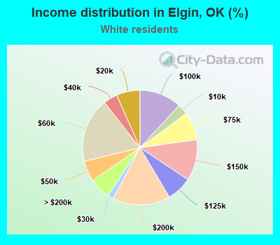 Income distribution in Elgin, OK (%)