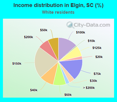 Income distribution in Elgin, SC (%)