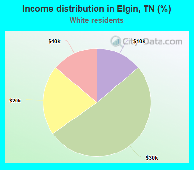 Income distribution in Elgin, TN (%)