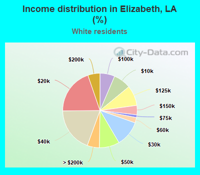 Income distribution in Elizabeth, LA (%)