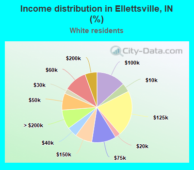 Income distribution in Ellettsville, IN (%)