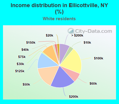 Income distribution in Ellicottville, NY (%)