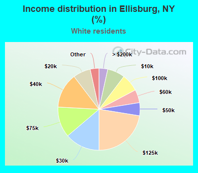 Income distribution in Ellisburg, NY (%)