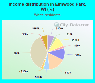 Income distribution in Elmwood Park, WI (%)
