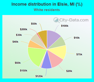 Income distribution in Elsie, MI (%)