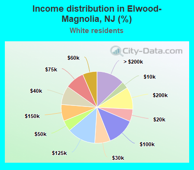 Income distribution in Elwood-Magnolia, NJ (%)