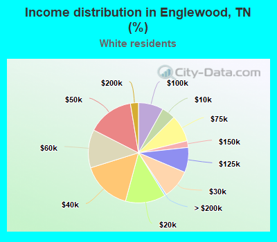 Income distribution in Englewood, TN (%)