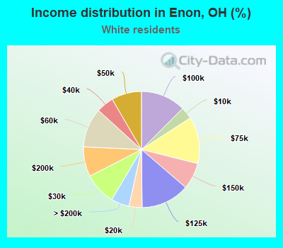 Income distribution in Enon, OH (%)