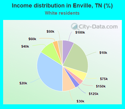 Income distribution in Enville, TN (%)